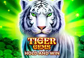 Online-Casino-Slot-Game-BNG-Tiger-Gems.jpg.webp